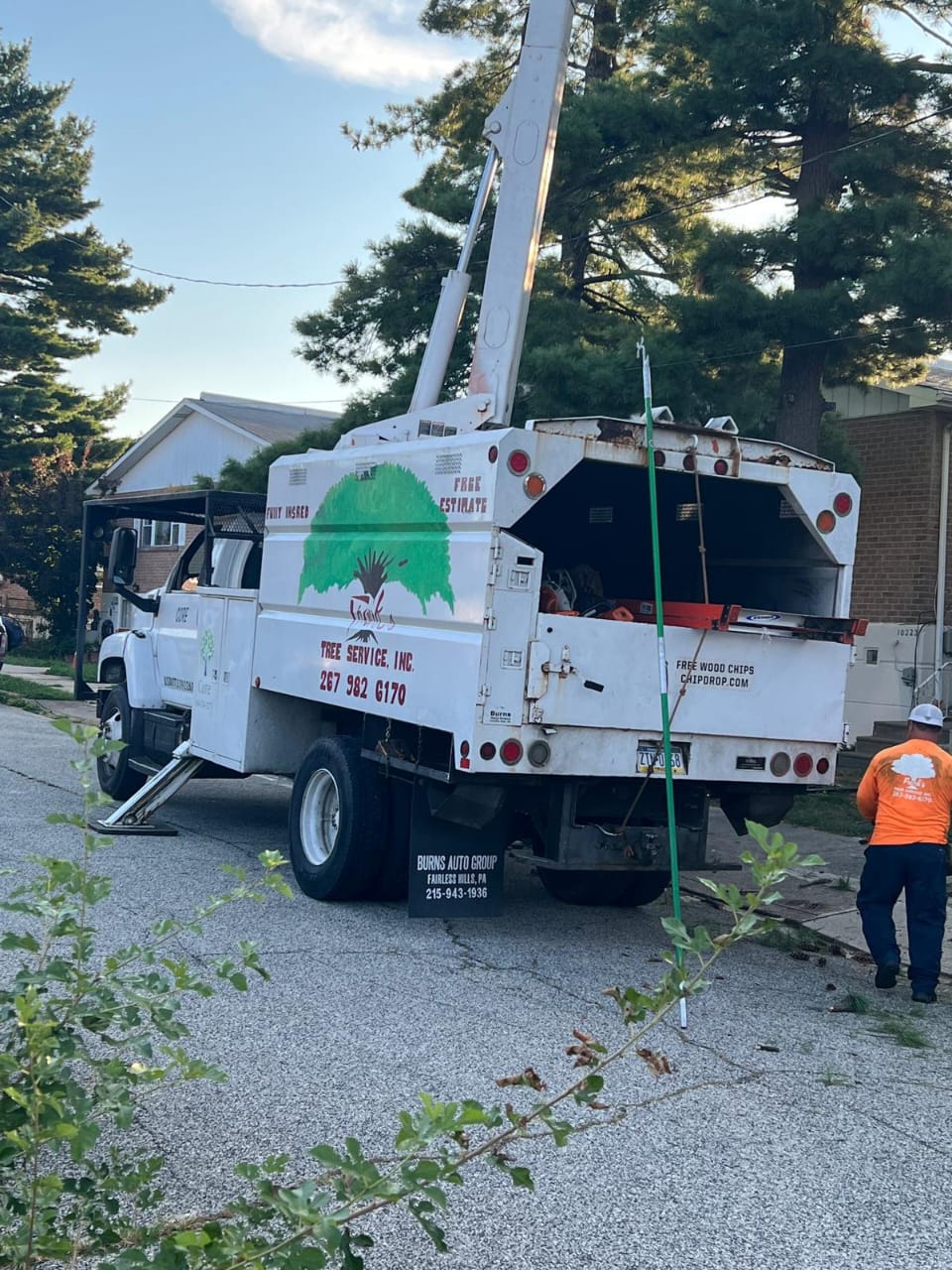 Frank Tree Services